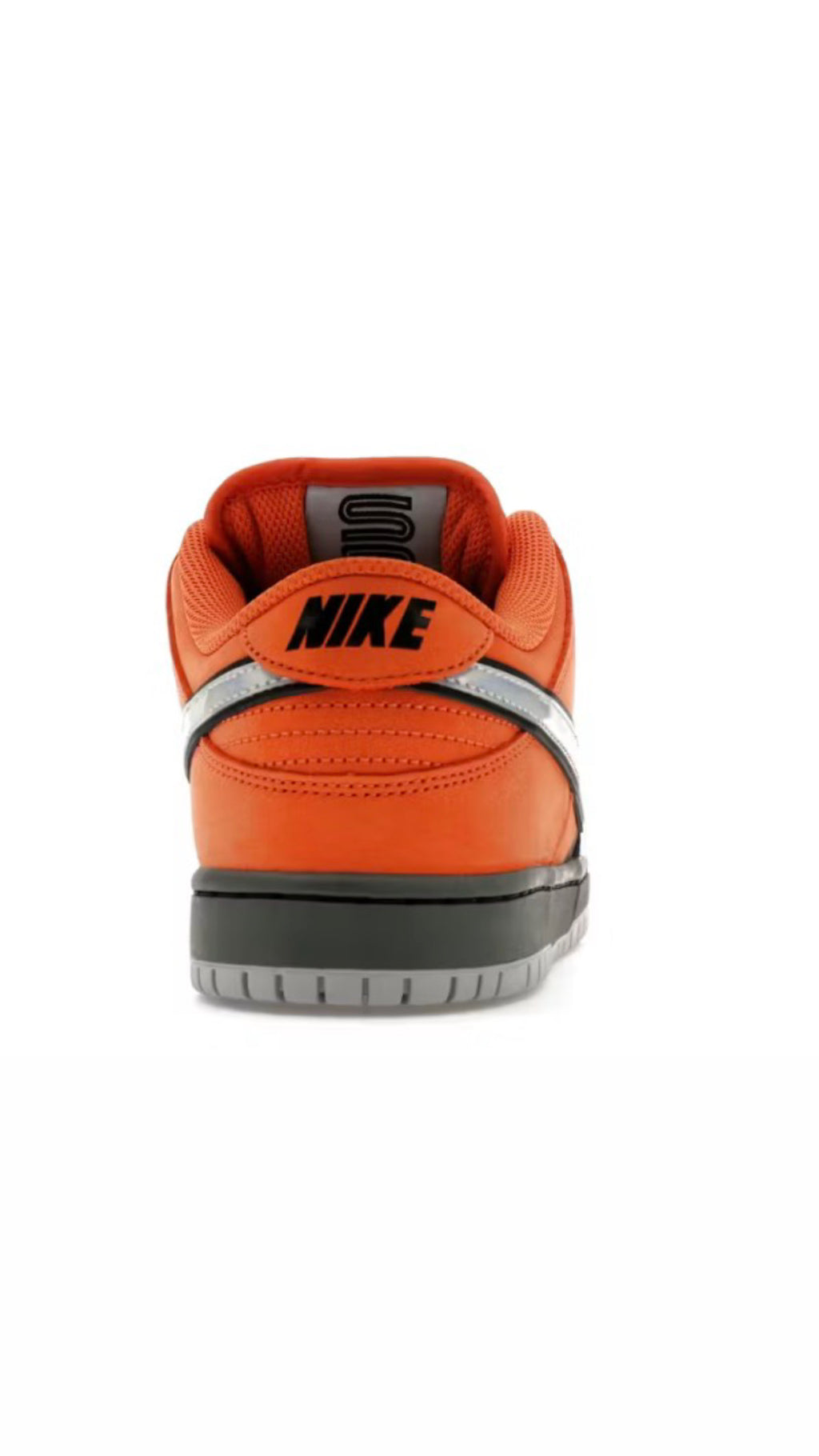 Nike SB Muni Fast Pass